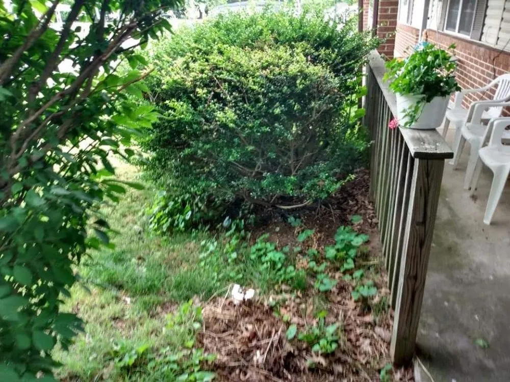 Top-rated landscape installation in Dundalk, MD by Supreme Landscaping