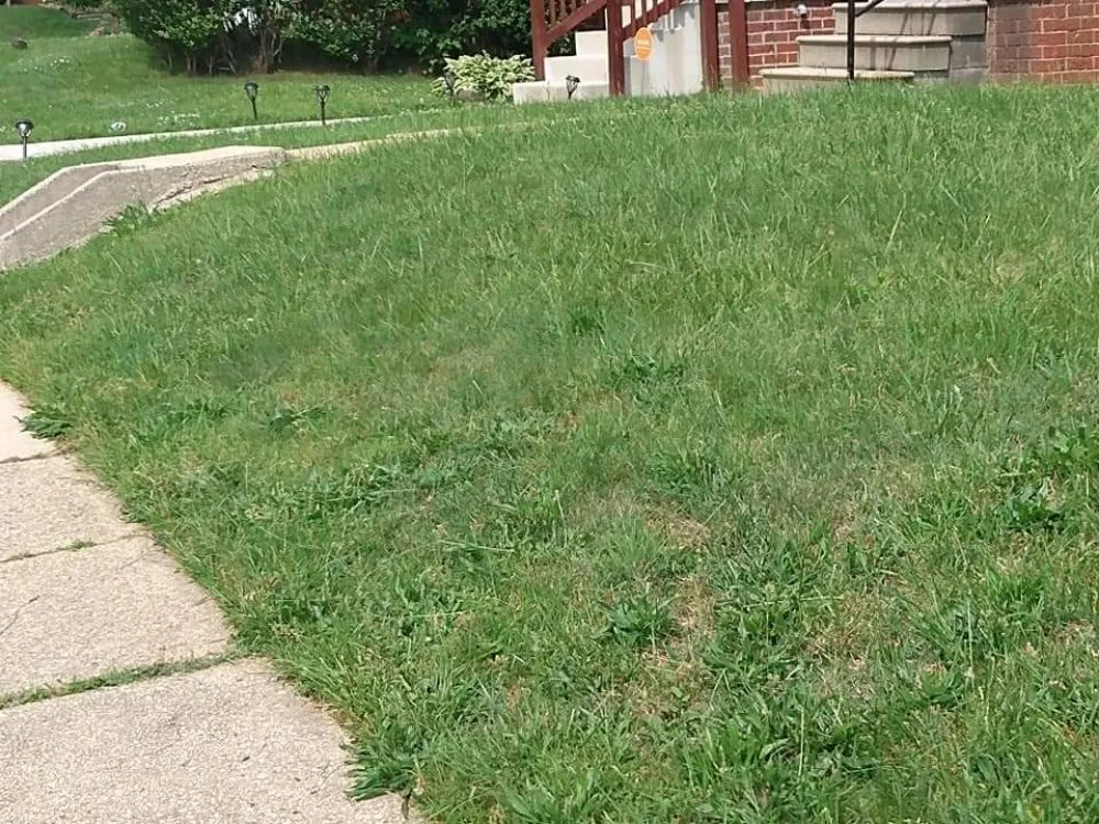 Affordable lawn mowing service experts serving Dundalk, MD - Supreme Landscaping