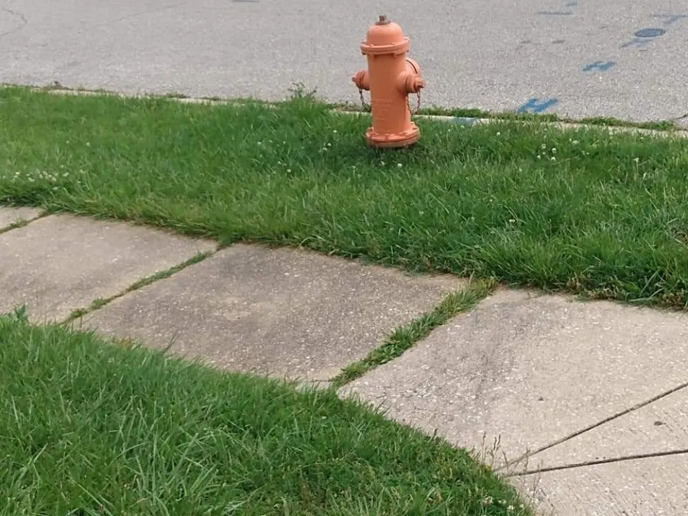 Local residential landscaping in Dundalk, MD by Supreme Landscaping