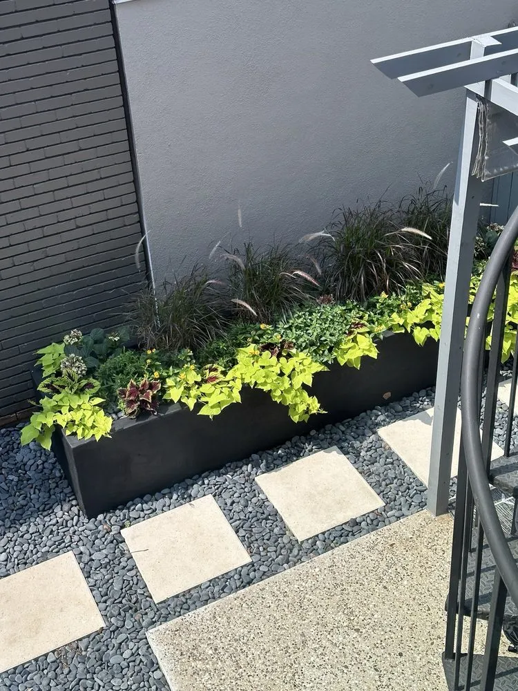 Custom landscape design in Houston, TX by Supreme Landscaping