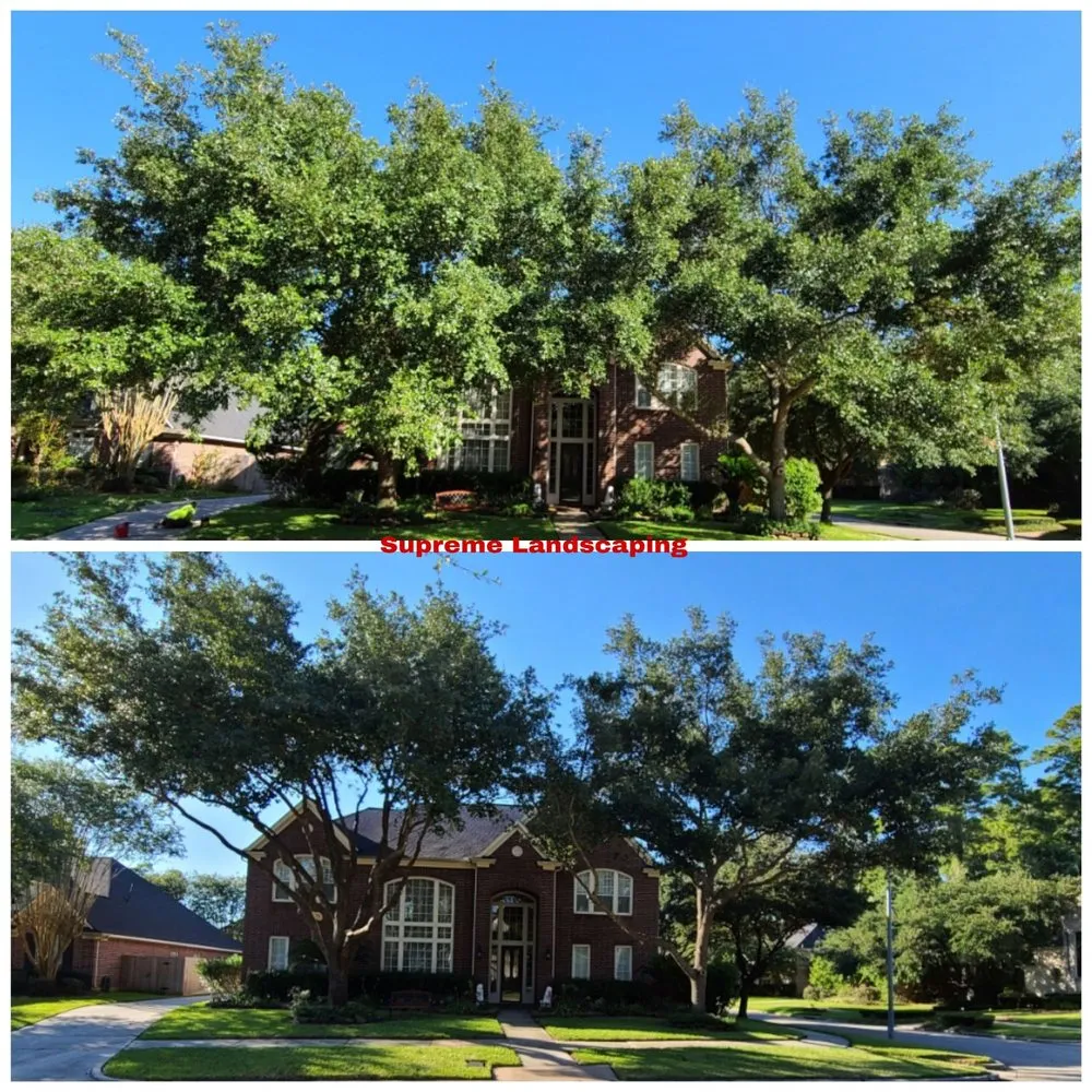 Top-rated outdoor landscaping for residential properties in Houston, TX by Supreme Landscaping