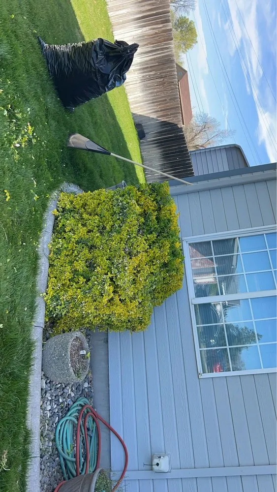 Expert lawn care service in Kennewick, WA - Supreme Landscaping