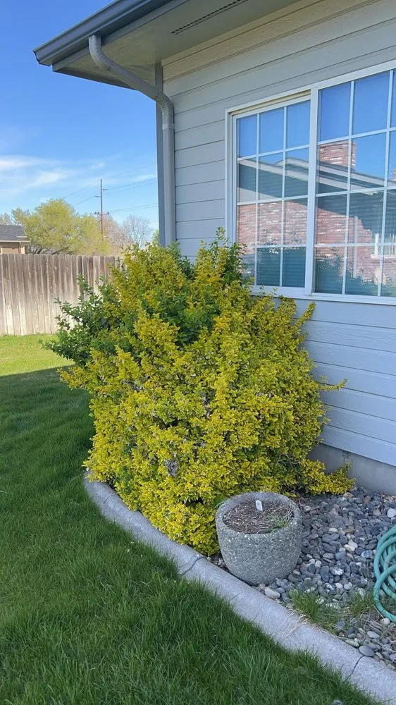 Custom yard cleanup service in Kennewick, WA by Supreme Landscaping