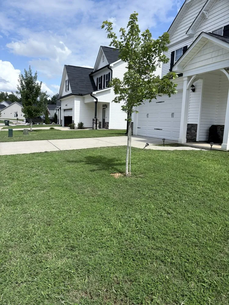 Reliable lawn mowing service for year-round maintenance in Middlesex, NC by Supreme Landscaping