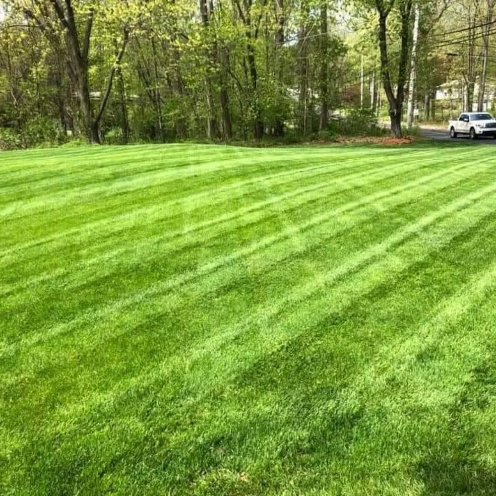 Trusted residential landscaping in Sauk Village, IL by Supreme Landscaping