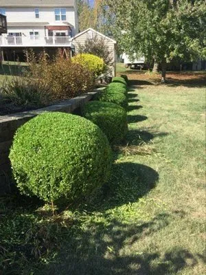 Supreme Landscaping