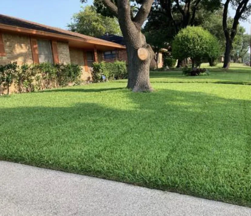 Affordable garden landscaping in Little Elm, TX by Supreme Lawn & Landscape Services