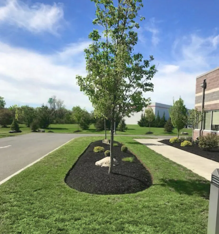 Professional landscaping services in Little Elm, TX - Supreme Lawn & Landscape Services