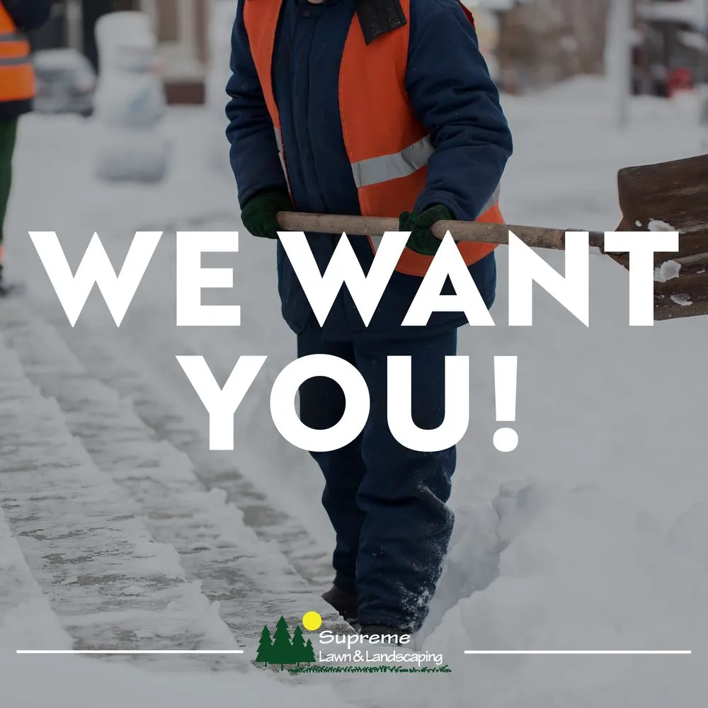 Top-rated yard cleanup service in Waite Park, MN - Supreme Lawn and Landscaping