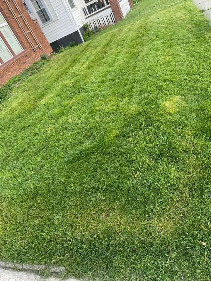 Custom landscape installation in Decatur, IL - Supreme Lawn Care & Cleaning Services