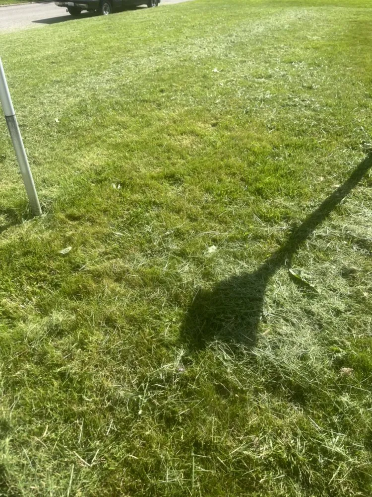 Local lawn mowing service experts serving Decatur, IL - Supreme Lawn Care & Cleaning Services