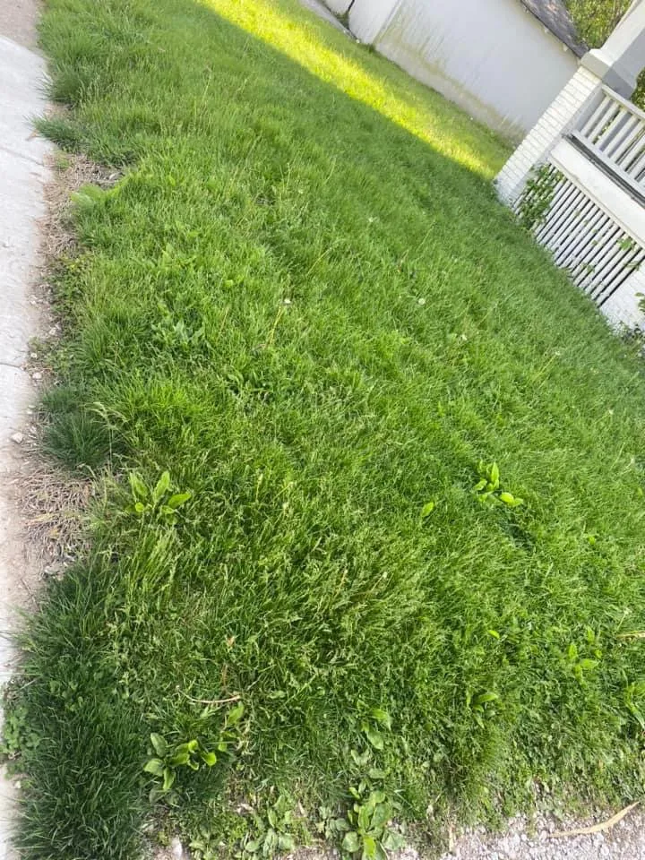 Local lawn mowing service in Decatur, IL by Supreme Lawn Care & Cleaning Services