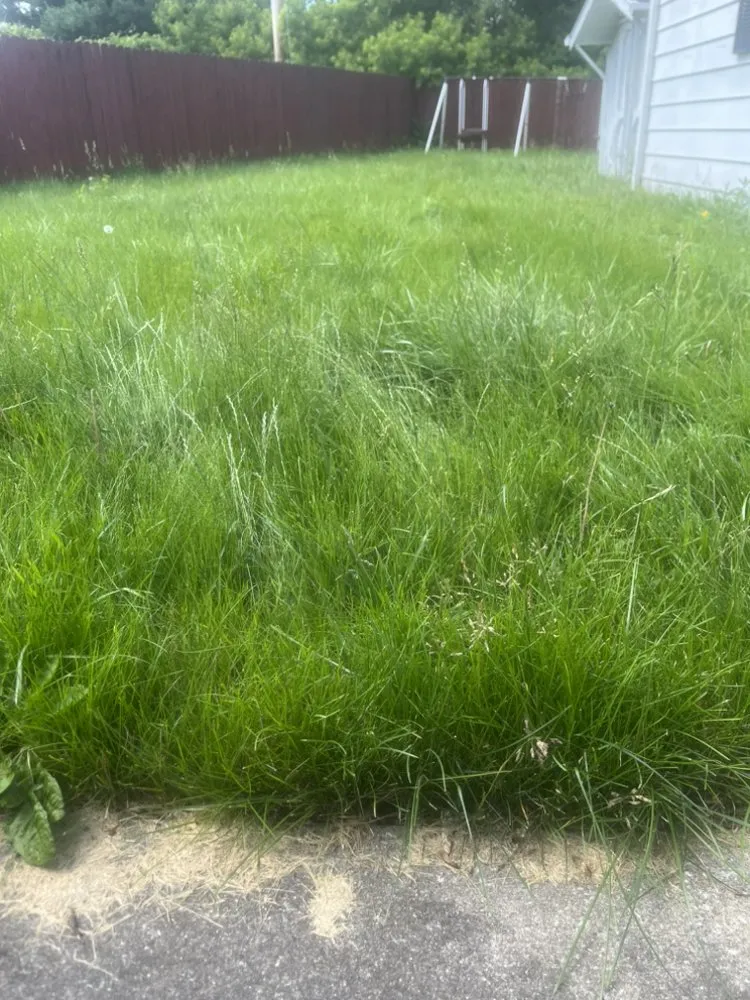 Reliable lawn mowing service in Decatur, IL by Supreme Lawn Care & Cleaning Services