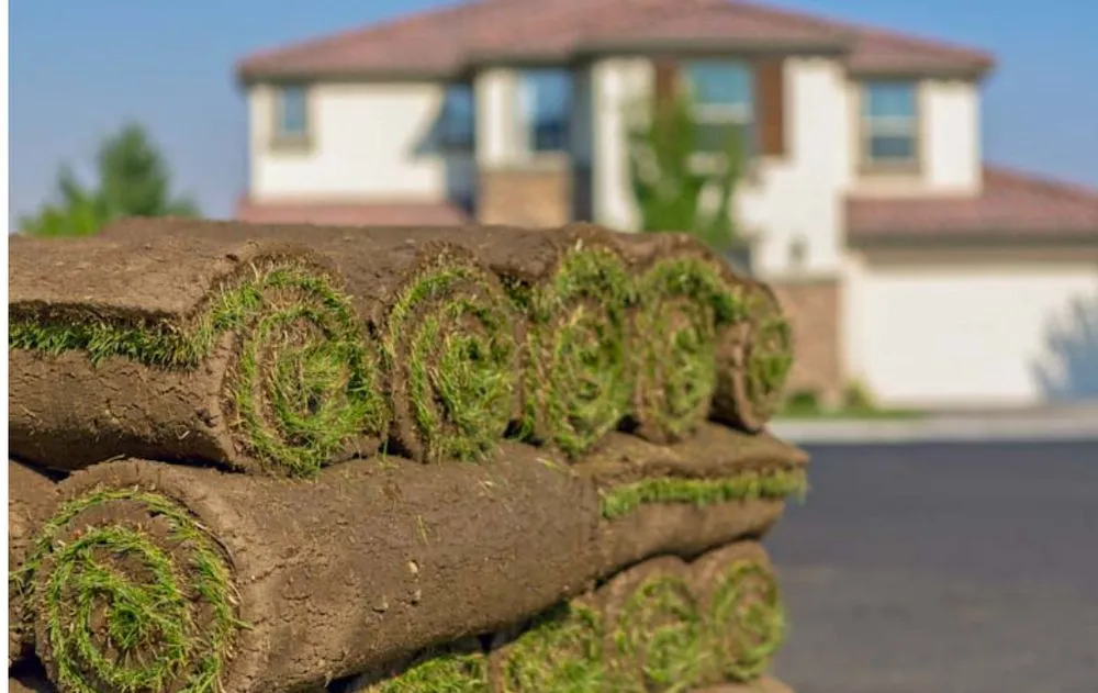 Expert outdoor landscaping experts serving Belfair, WA - Supreme Lawn Care