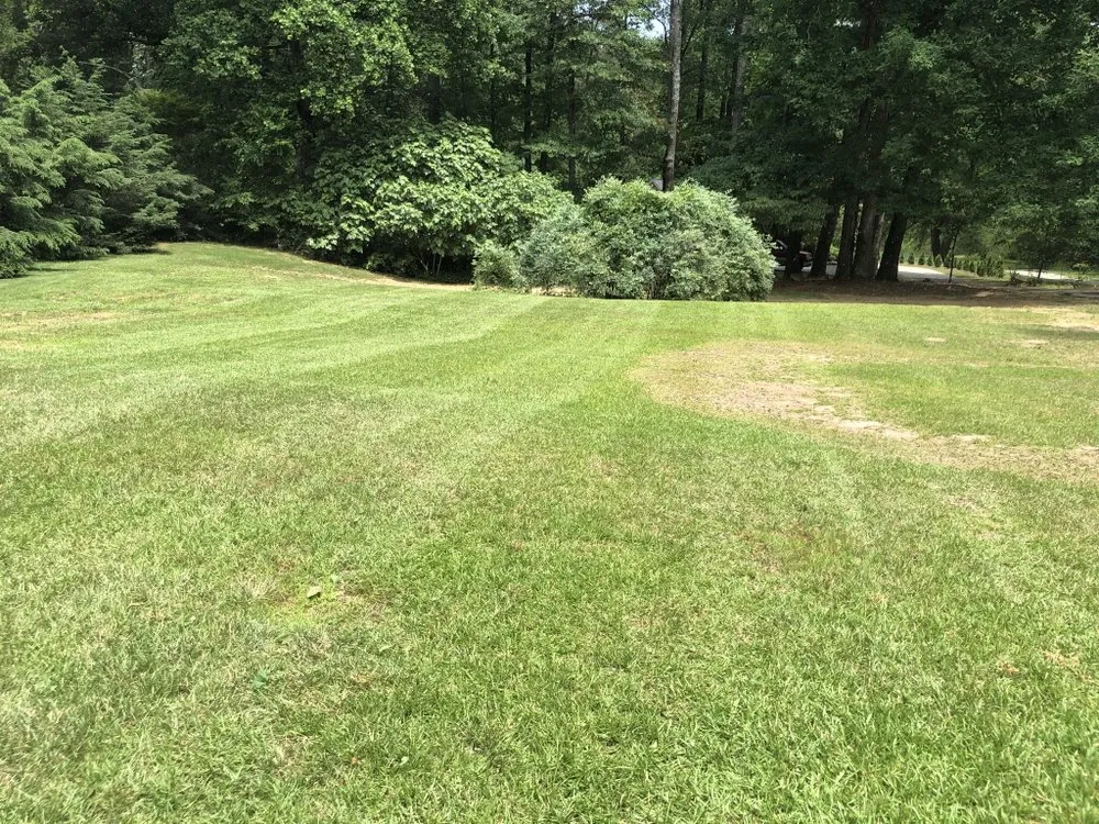 Expert lawn care service for homes across Hiram, GA - Supreme Lawn Care