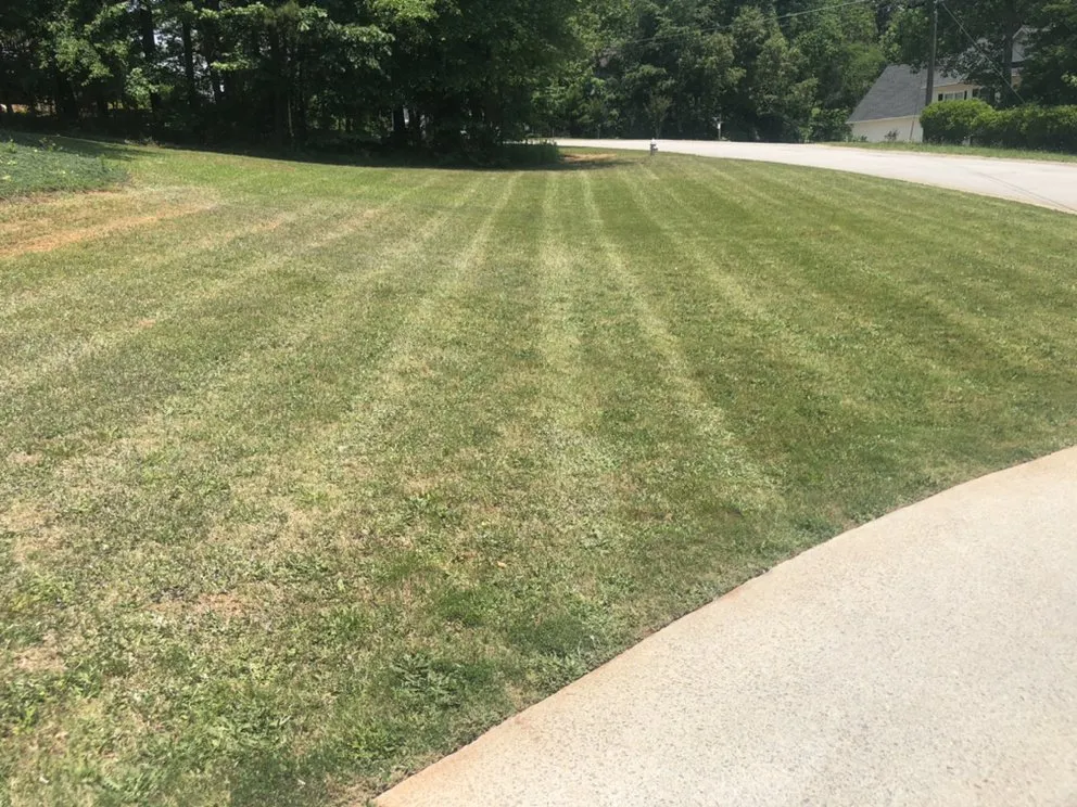 Trusted yard cleanup service for beautiful yards in Hiram, GA by Supreme Lawn Care