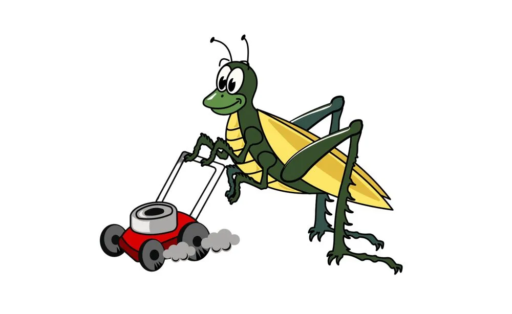 Affordable landscape installation with custom design in Hiram, GA by Supreme Lawn Care