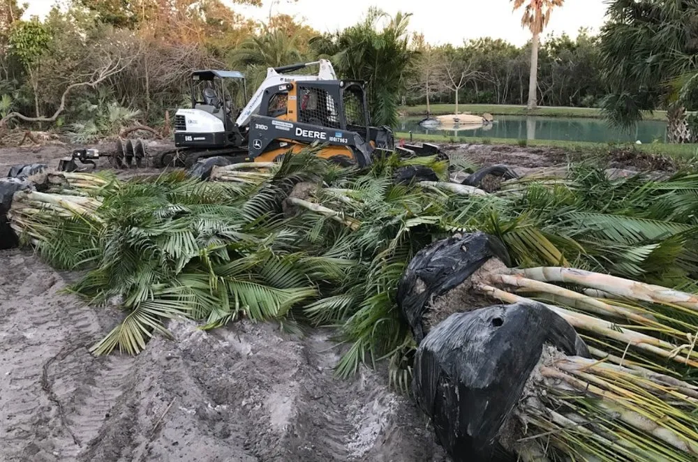 Local landscaping services for residential properties in Melbourne, FL by Supreme Lawn Care