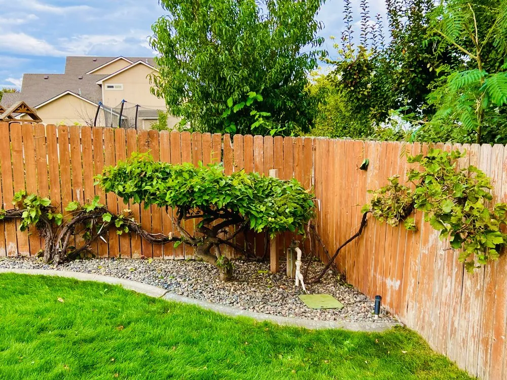 Local outdoor landscaping for beautiful yards across Kennewick, WA - Supreme Lawncare & Landscaping