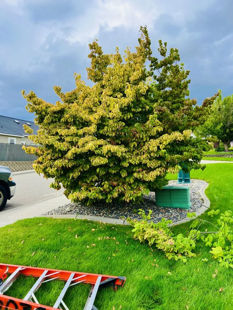 Trusted landscape design in Kennewick, WA by Supreme Lawncare & Landscaping