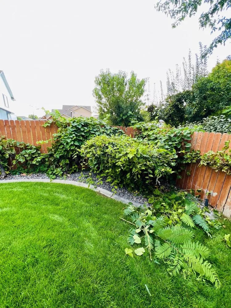 Custom residential landscaping with custom design across Kennewick, WA - Supreme Lawncare & Landscaping