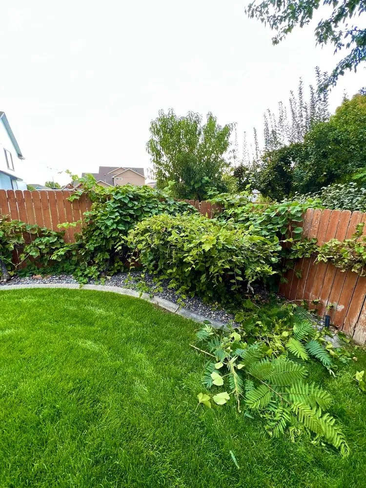 Reliable garden landscaping for outdoor upgrades across Kennewick, WA - Supreme Lawncare & Landscaping