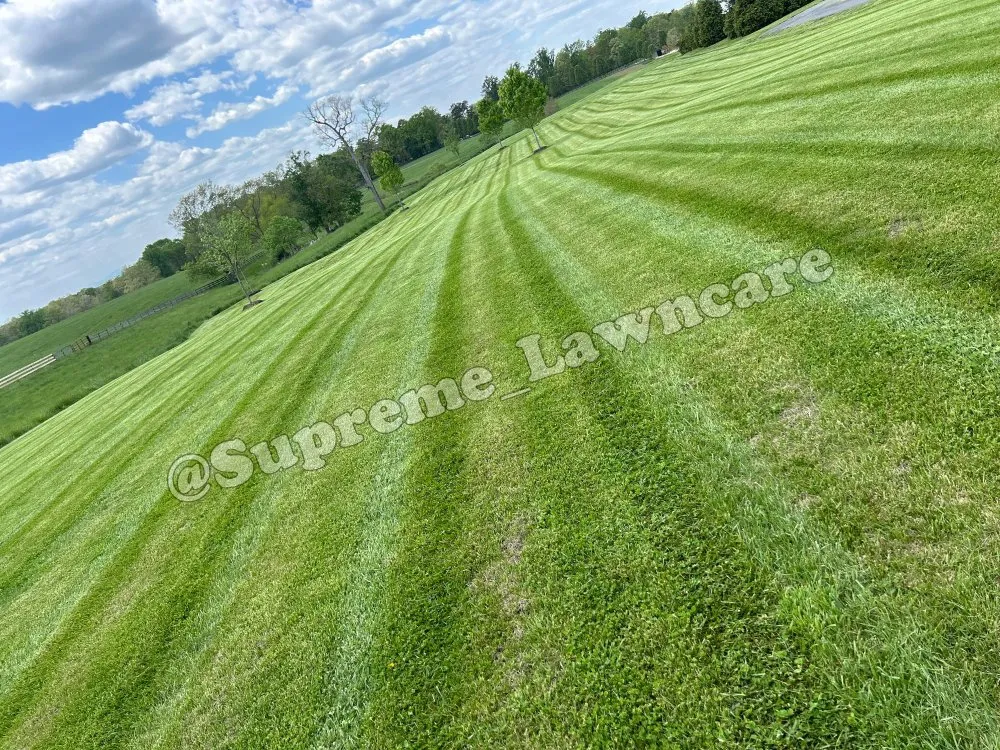 Local residential landscaping for residential properties across Charlottesville, VA - Supreme Lawncare