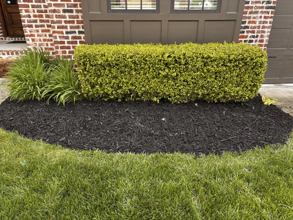 Top-rated yard cleanup service for homes across Collegedale, TN - Supreme Lawncare