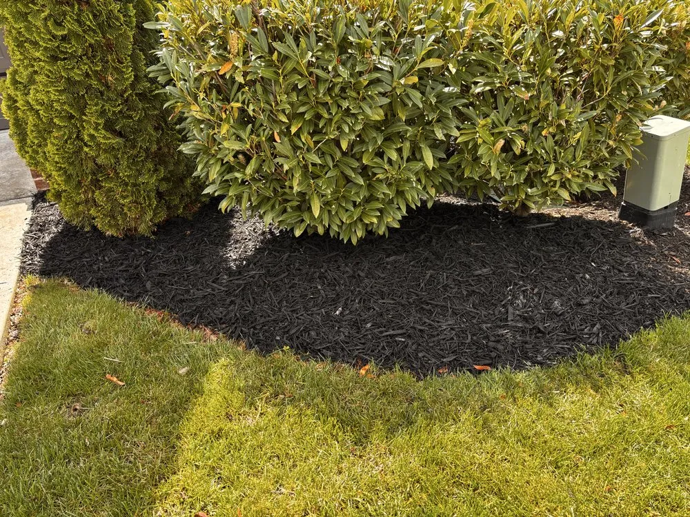 Top-rated residential landscaping in Collegedale, TN - Supreme Lawncare