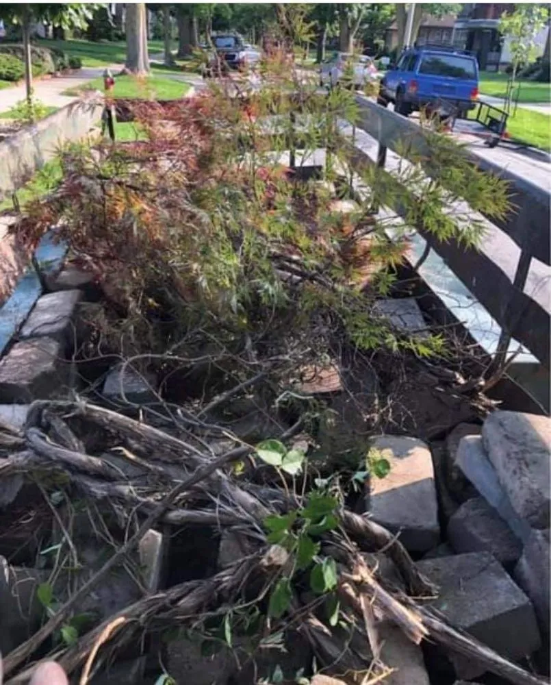 Trusted landscape design in Milwaukee, WI - Supreme Legacy Home Improvement