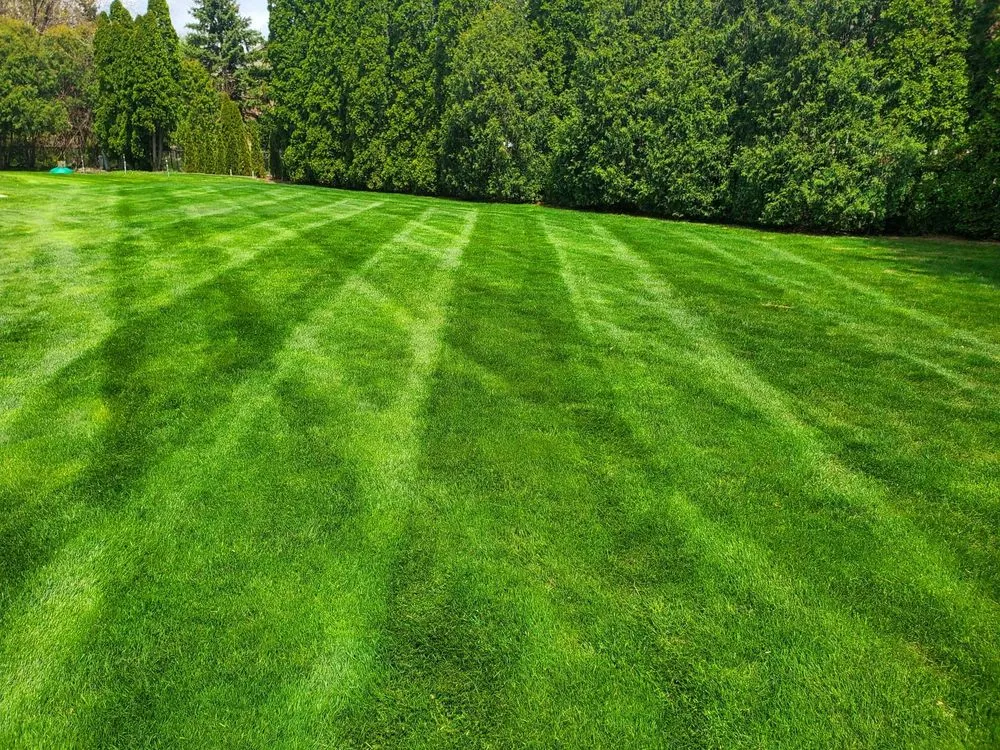 Reliable yard maintenance for year-round maintenance in Columbiaville, MI by Supreme outdoor specialists