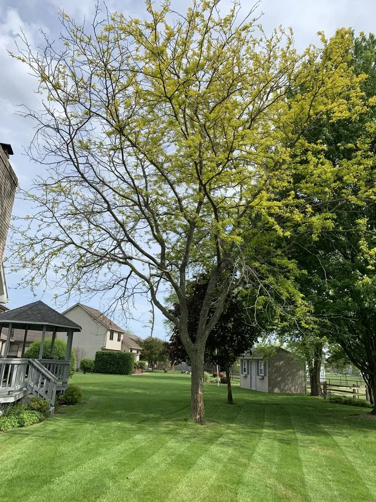 Expert landscape design in Columbiaville, MI - Supreme outdoor specialists