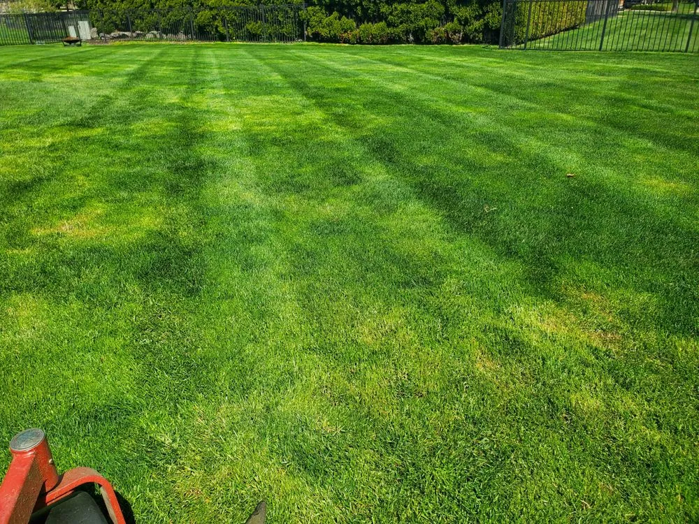 Professional lawn care service for homes in Columbiaville, MI by Supreme outdoor specialists