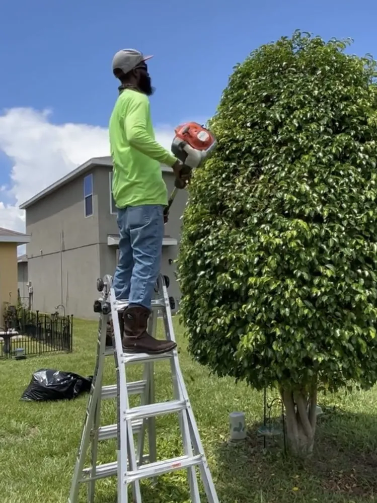 Top-rated lawn care service experts serving Wimauma, FL - Supreme Plants & Landscape
