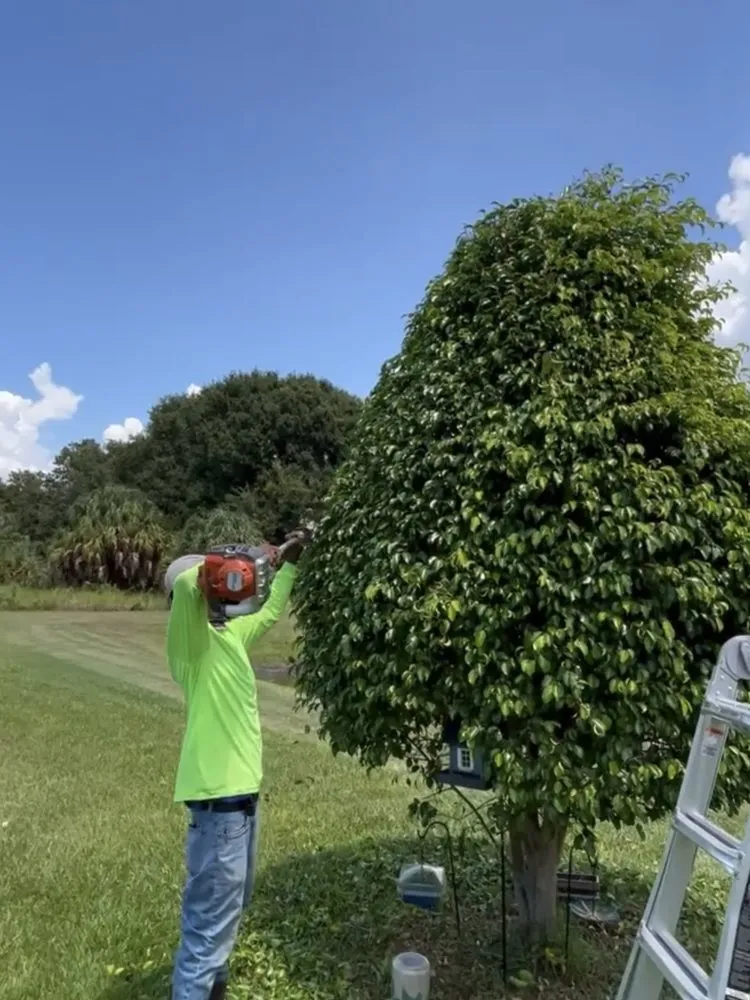 Affordable landscaping services experts serving Wimauma, FL - Supreme Plants & Landscape