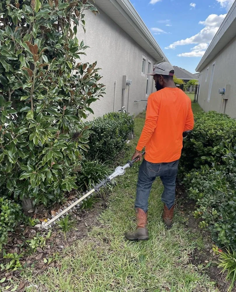 Custom lawn mowing service experts serving Wimauma, FL - Supreme Plants & Landscape