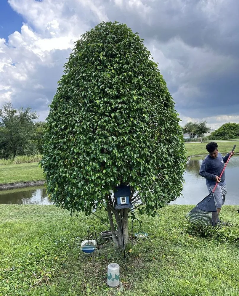 Trusted lawn care service in Wimauma, FL by Supreme Plants & Landscape