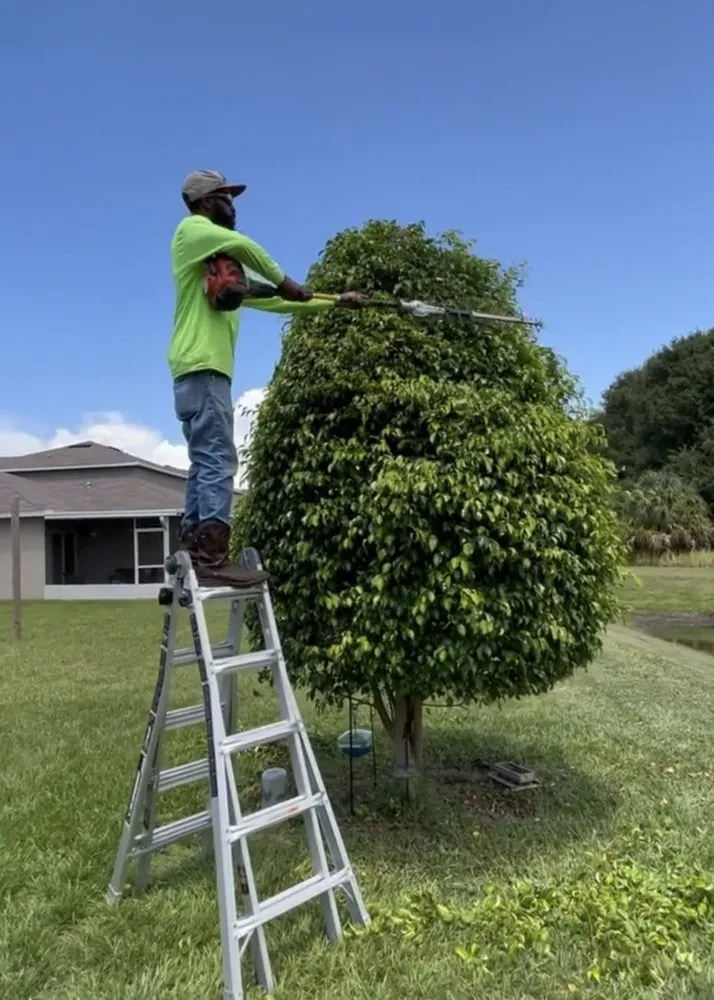 Top-rated outdoor landscaping in Wimauma, FL by Supreme Plants & Landscape