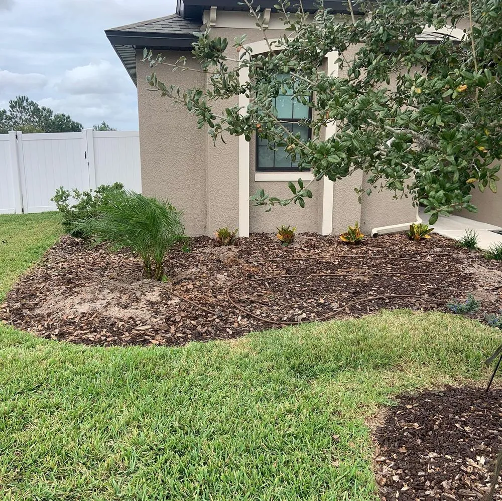 Trusted landscaping services in Wimauma, FL - Supreme Plants & Landscape