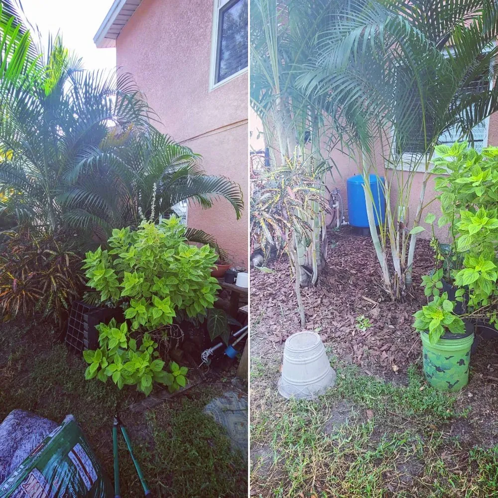 Local yard cleanup service experts serving Wimauma, FL - Supreme Plants & Landscape