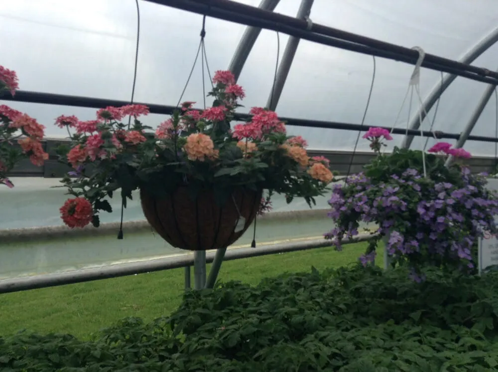 Top-rated garden landscaping experts serving Ashland, WI - Supreme Selections Greenhouse
