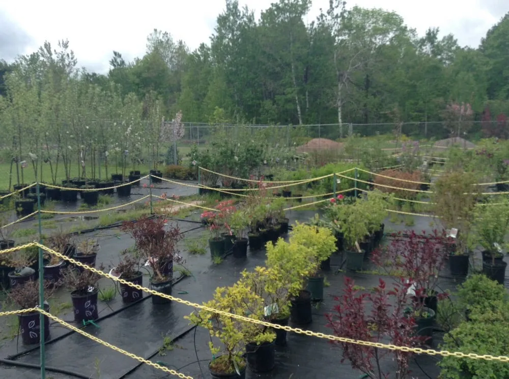 Local landscaping services with custom design across Ashland, WI - Supreme Selections Greenhouse