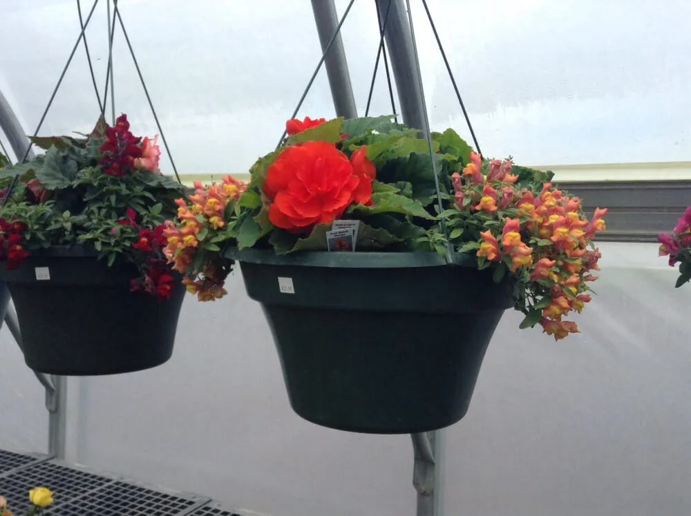 Expert lawn mowing service in Ashland, WI by Supreme Selections Greenhouse