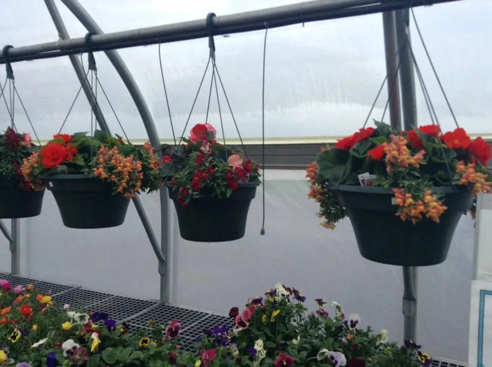 Affordable yard cleanup service with custom design in Ashland, WI by Supreme Selections Greenhouse