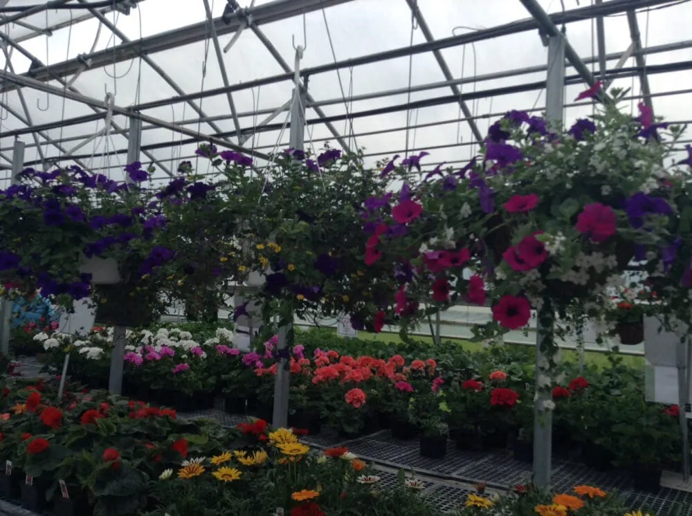 Custom lawn mowing service in Ashland, WI - Supreme Selections Greenhouse