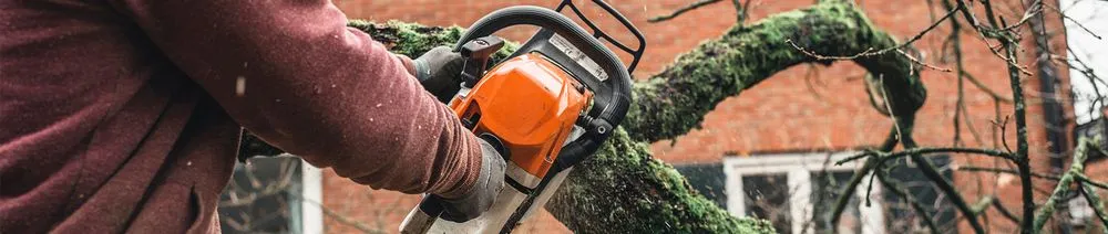 Custom yard cleanup service in Tupelo, MS by Supreme Service