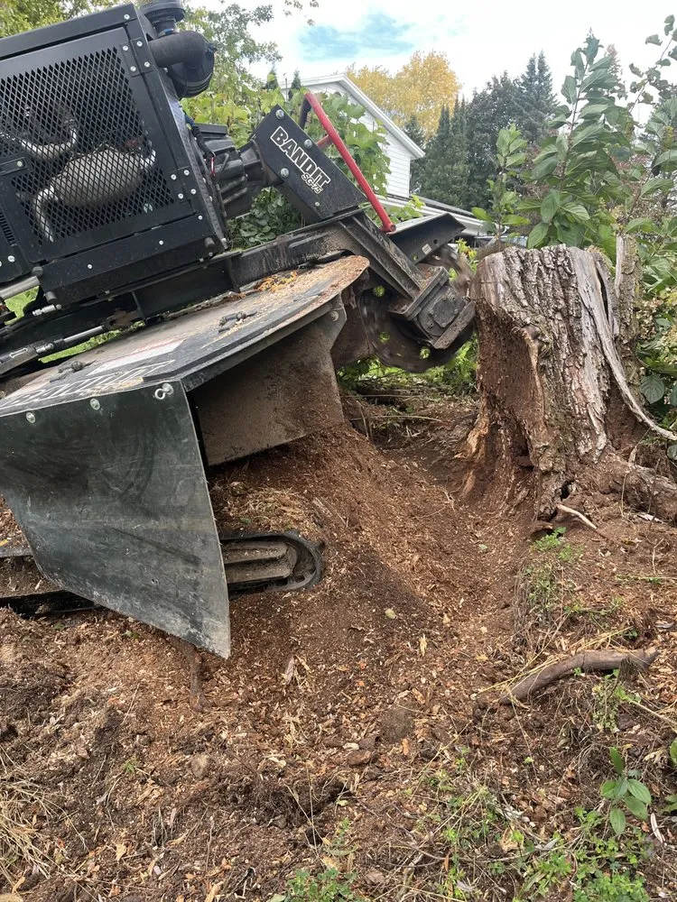 Trusted residential landscaping for outdoor upgrades across Sussex, WI - Supreme Stump Grinding