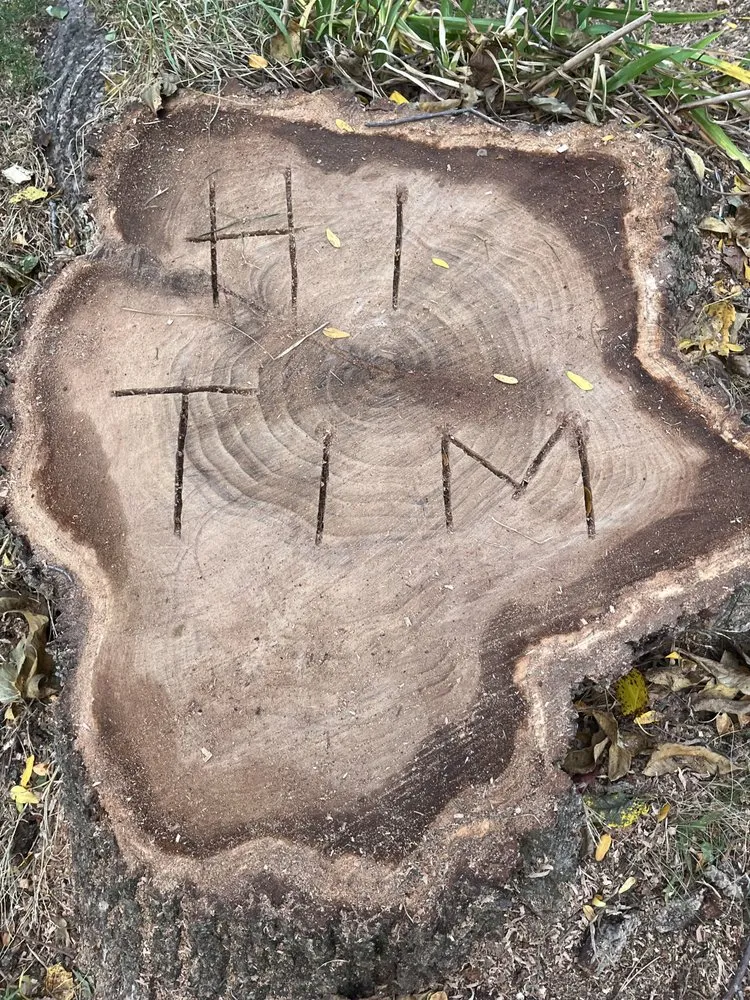 Affordable landscape installation for homes across Sussex, WI - Supreme Stump Grinding