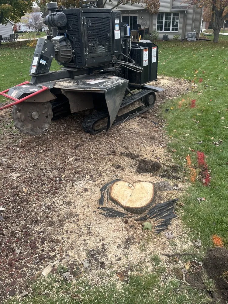 Top-rated yard maintenance experts serving Sussex, WI - Supreme Stump Grinding