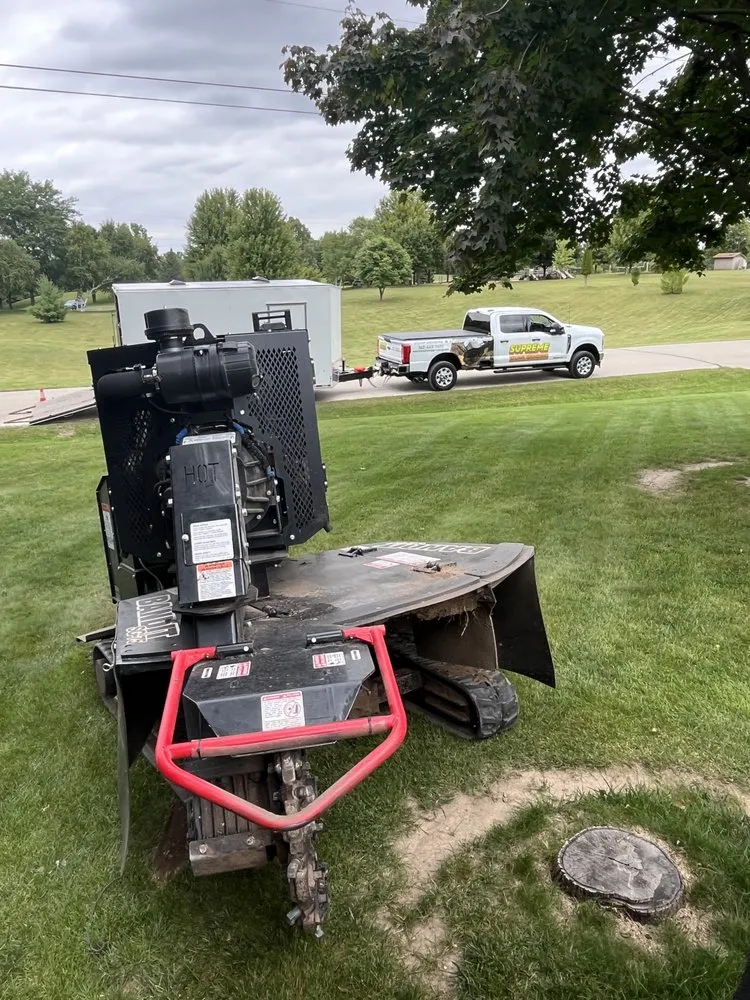 Reliable landscape design experts serving Sussex, WI - Supreme Stump Grinding